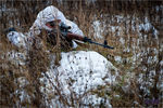 snipers_2011_compressed_zDSC_7449.jpg