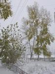 Снег по листве...