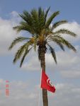 Тунис. Октябрь 2007