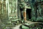 Камбоджа. Ангкор Ват. Камни на этот храм из медесодержащих камней пошли, через это, все такое зеленое стало.