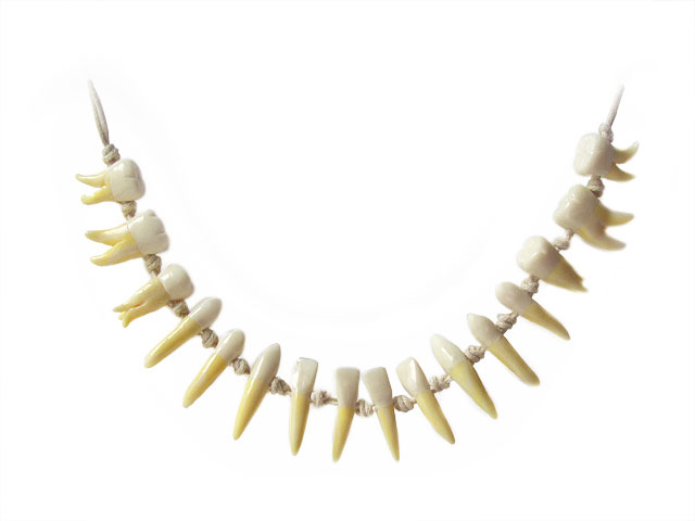 teeth-necklace-f01.jpg