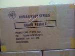 Коробка с женским мозгом