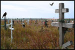 Cemetery on a hill.jpg