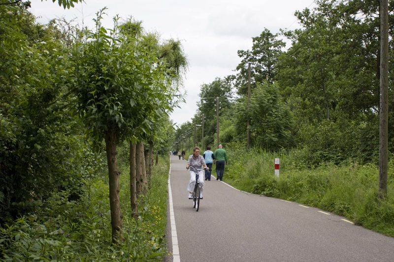 Road