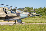 torzhok_2011_compressed_zDSC_0538.jpg