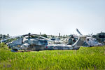 torzhok_2011_compressed_zDSC_0800.jpg