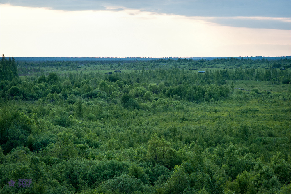 torzhok_2011_compressed_zDSC_1312.jpg