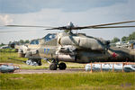 torzhok_2011_compressed_zDSC_2253-2.jpg