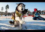 krasnaya_zvezda_2012_zDSC_0954-2.jpg