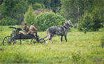 chernogolovka_2012_zDSC_9907-2.jpg