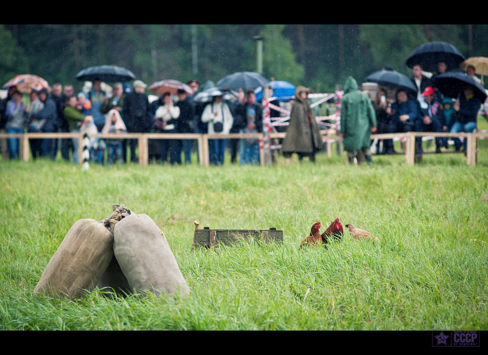 chernogolovka_2012_zDSC_9921-2.jpg