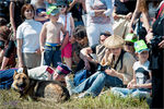 dushonovo_fest_2012_zDSC_3829.jpg