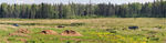 edited_small_DSC_7387 Panorama.jpg