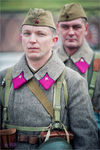 compressed_borodino_2012_zDSC_2671-2.jpg