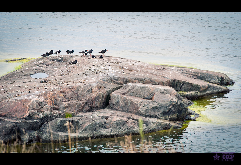 sveaborg_2012_zDSC_8509-2.jpg