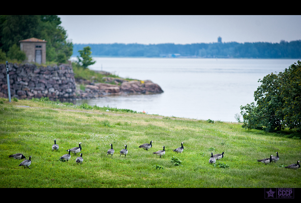 sveaborg_2012_zDSC_8895-2.jpg