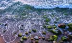 DSC01915