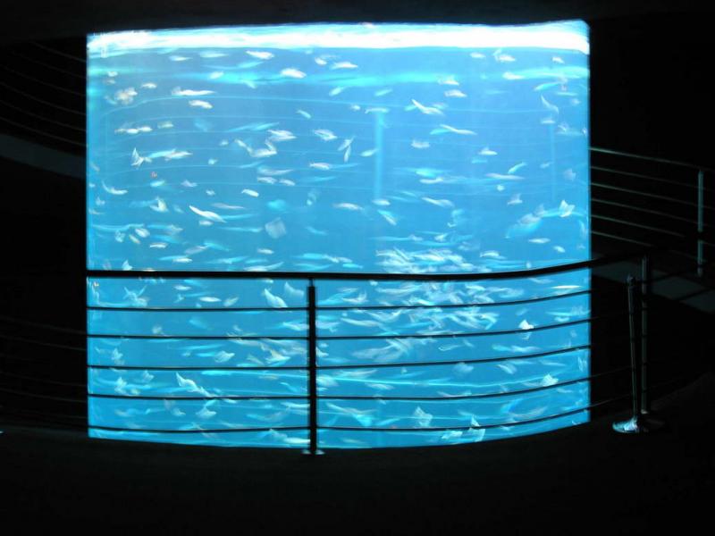 aquarium