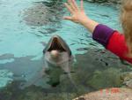 SanDiego_SeaWorld_003