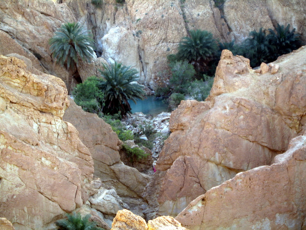 Tunis_30.05.2006 10-03-07.JPG