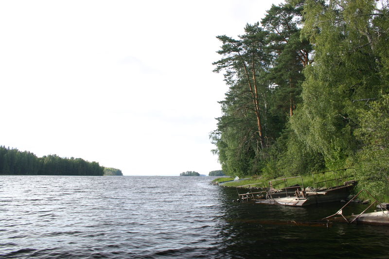 Водные угодья родовой фазенды