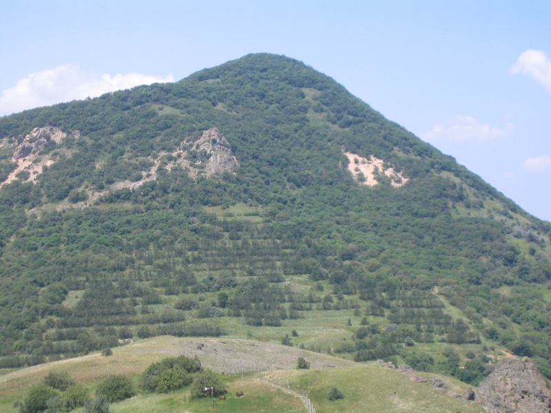 IMG_0857.jpg