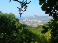 DSCN4129.jpg