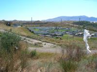 DSCN4166.jpg
