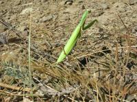 DSCN4188.jpg