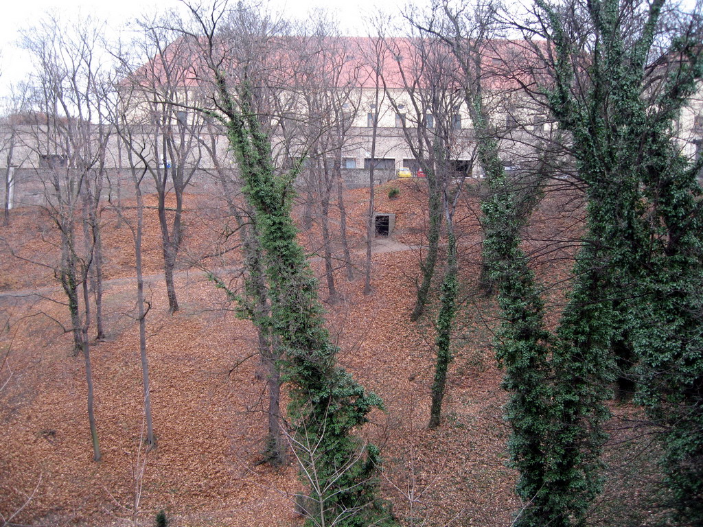 Prague 05.01.2007 15-36-45.JPG