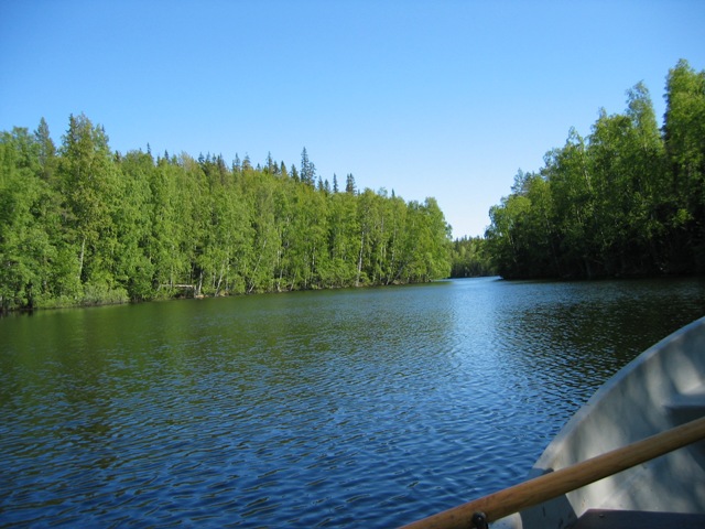 Вода, вода, кругом вода