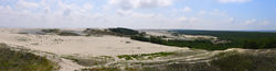 dune_pano1.jpg