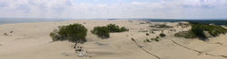 dune_pano2.jpg