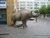 RHINO