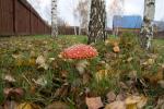 Dacha20071028-131615