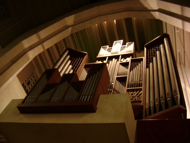 organ