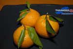 Tangerines