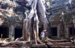 Камбоджа. Ангкор Ват. Деревья атакуют, мы еле успели ускакать в даль.