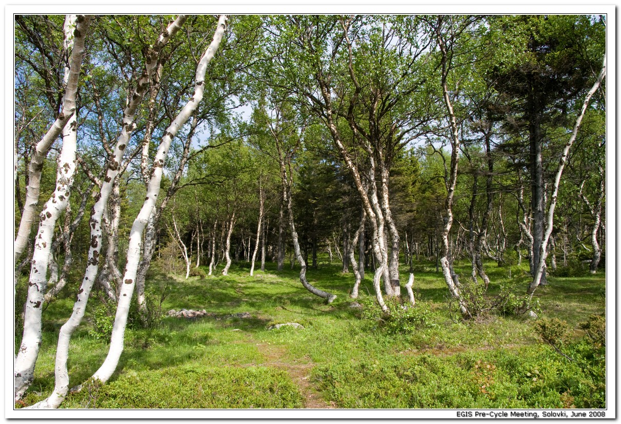 2008-06-25_16-12-31_Solovki_00026_x768.jpg