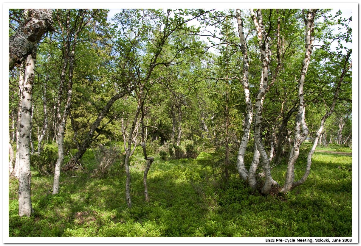 2008-06-25_16-14-07_Solovki_00034_x768.jpg