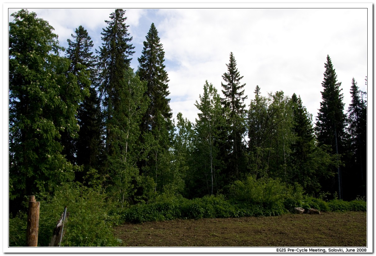 2008-06-26_17-05-11_Solovki_00055_x768.jpg