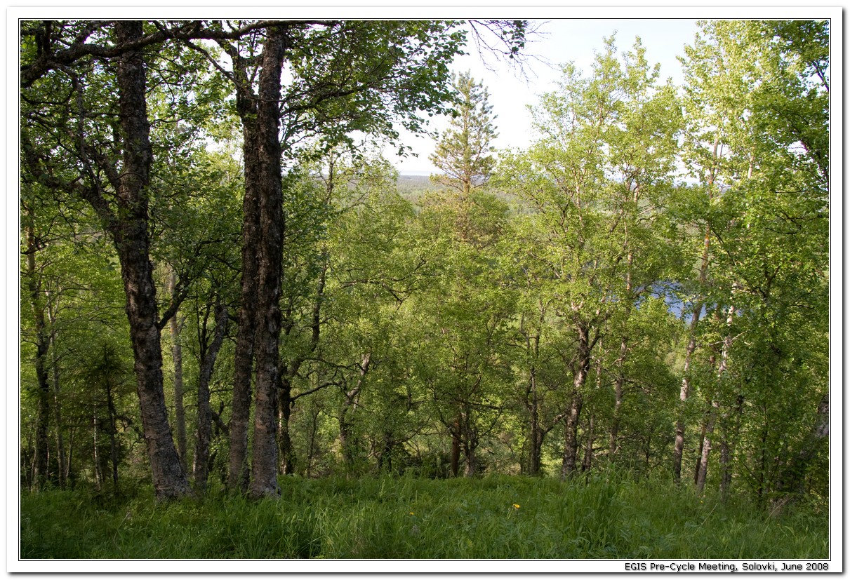 2008-06-26_17-41-06_Solovki_00099_x768.jpg