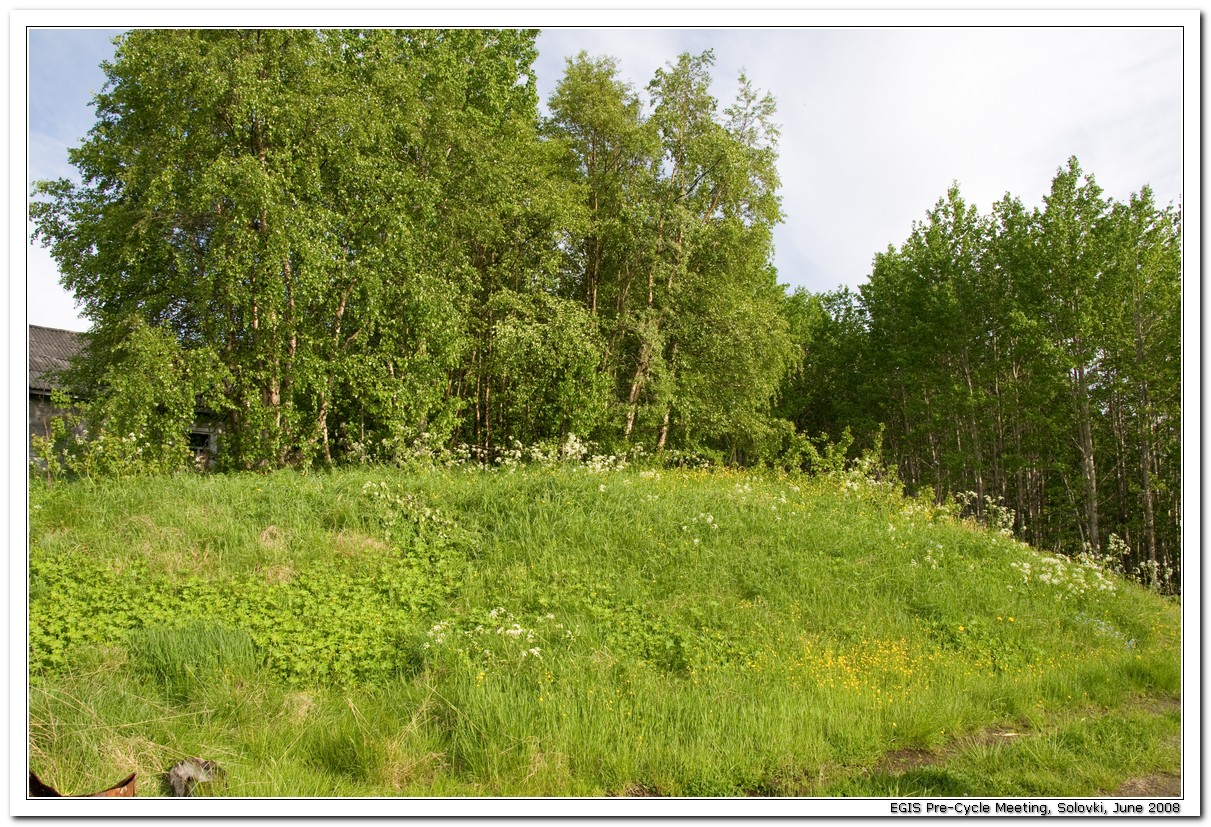 2008-06-26_19-26-33_Solovki_00159_x768.jpg