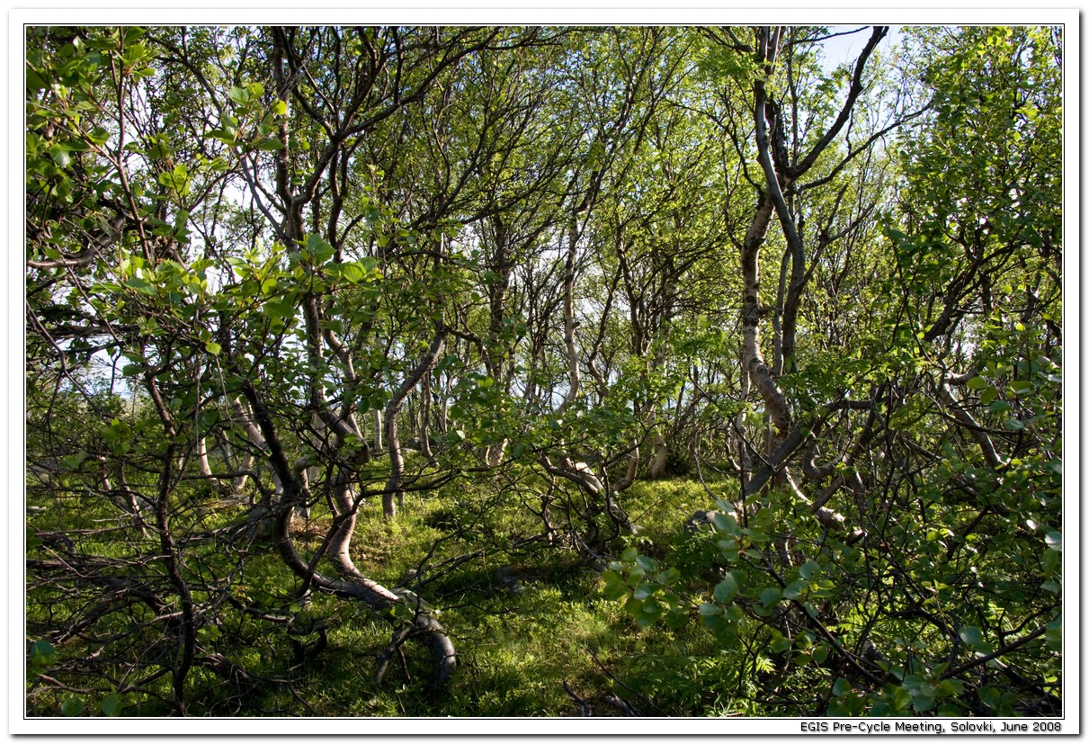 2008-06-27_18-49-46_Solovki_00107_x768.jpg