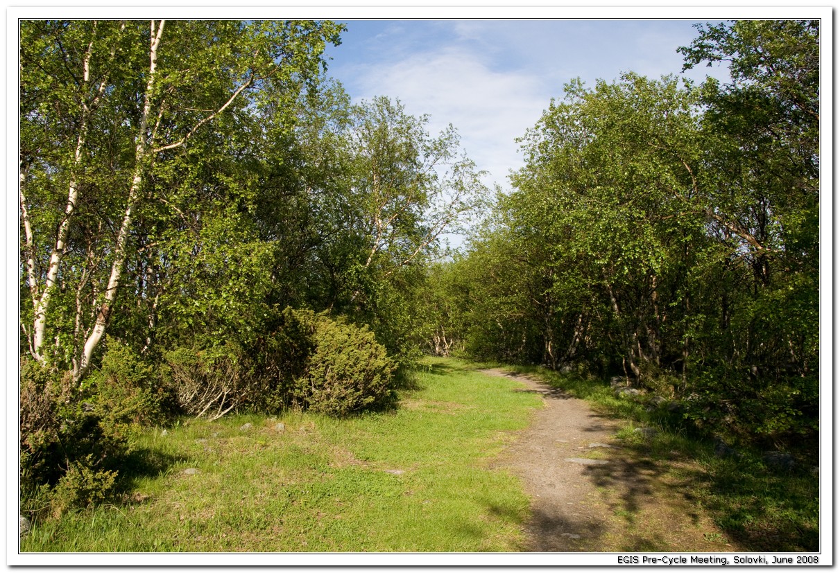 2008-06-27_18-52-00_Solovki_00109_x768.jpg