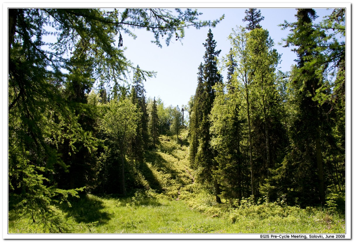 2008-06-29_13-49-26_Solovki_00135_x768.jpg