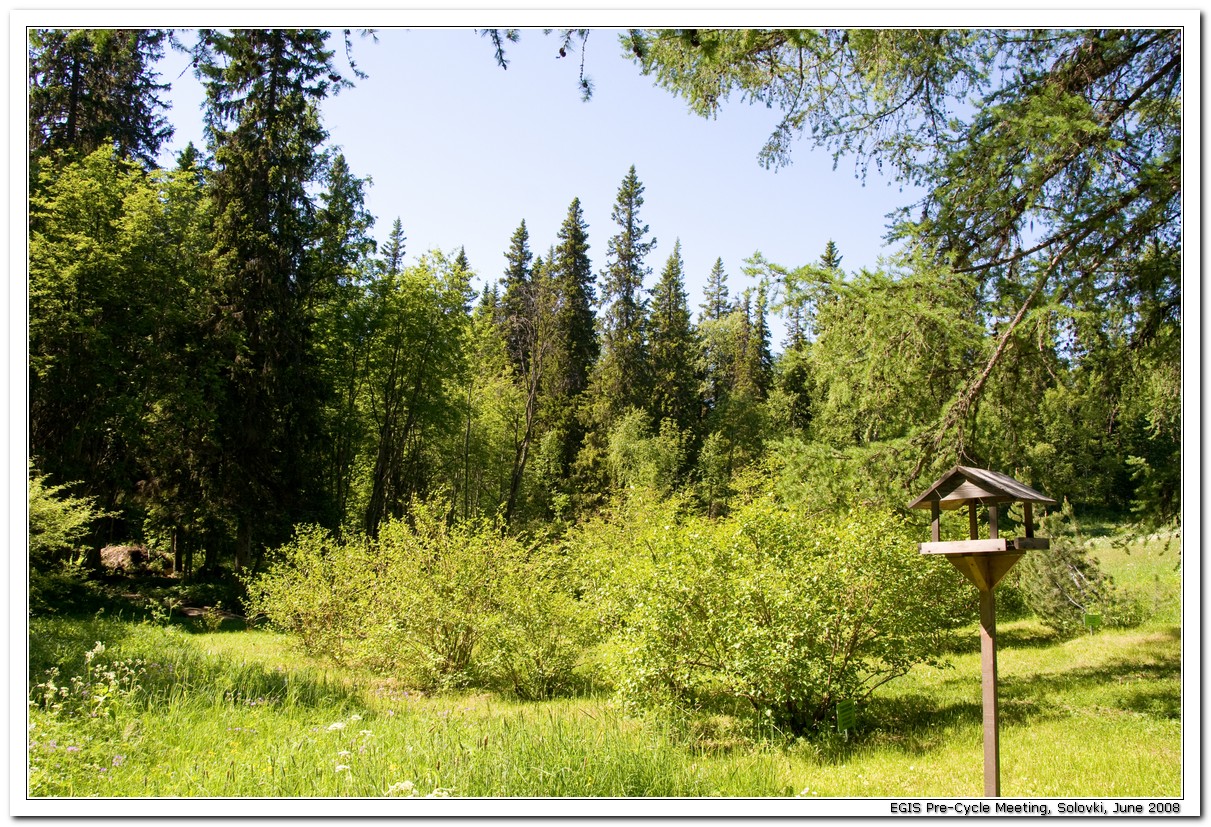 2008-06-29_13-56-50_Solovki_00145_x768.jpg