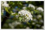 2008-06-29_13-59-36_Solovki_00151_x768.jpg