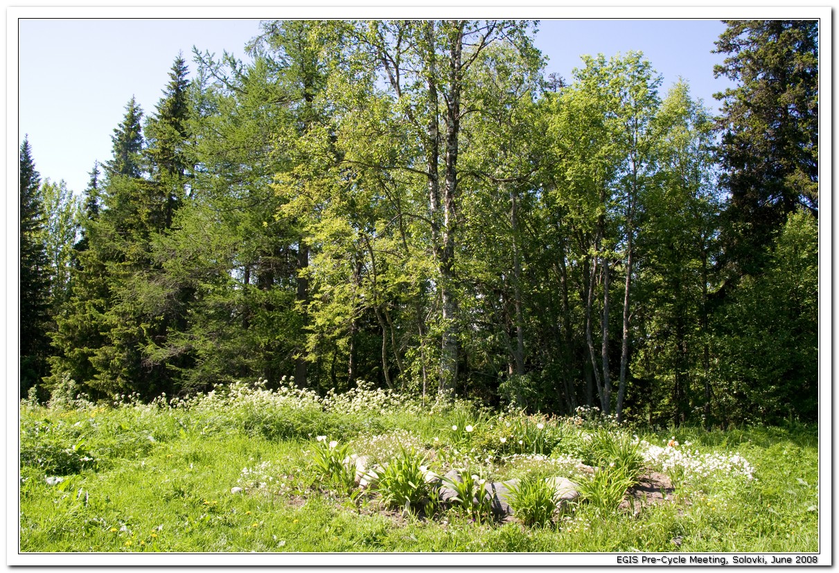 2008-06-29_14-04-20_Solovki_00159_x768.jpg