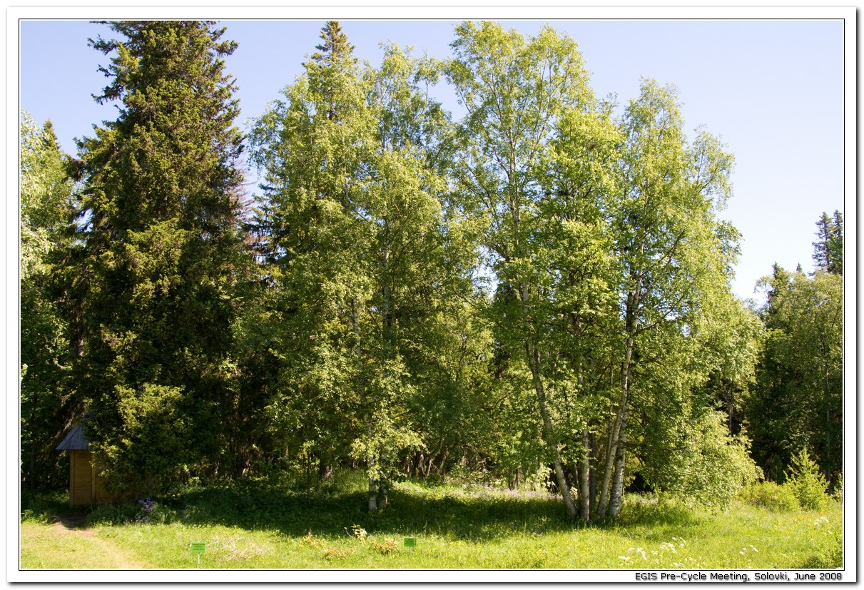 2008-06-29_14-04-35_Solovki_00160_x768.jpg